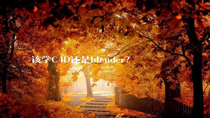 该学C4D还是blender？