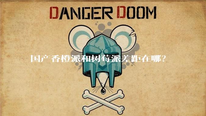 国产香橙派和树莓派差距在哪？