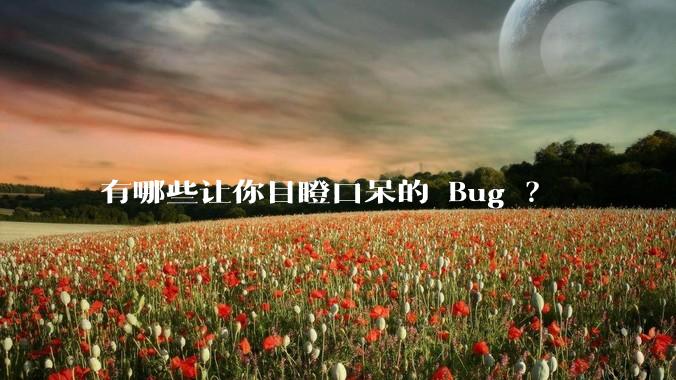 有哪些让你目瞪口呆的 Bug ？