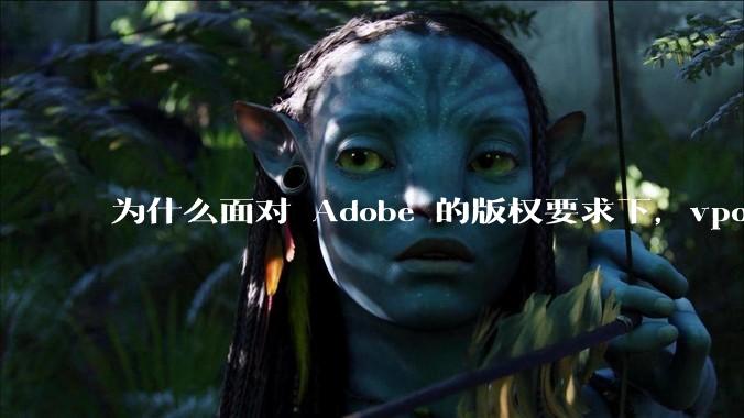 为什么面对 Adobe 的版权要求下，vposy 大神还能从容不迫？
