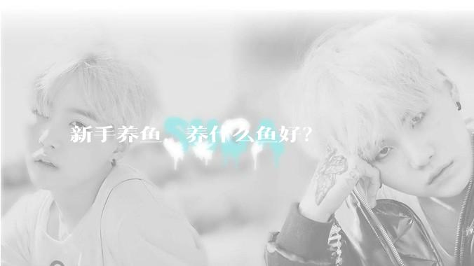 新手养鱼，养什么鱼好？