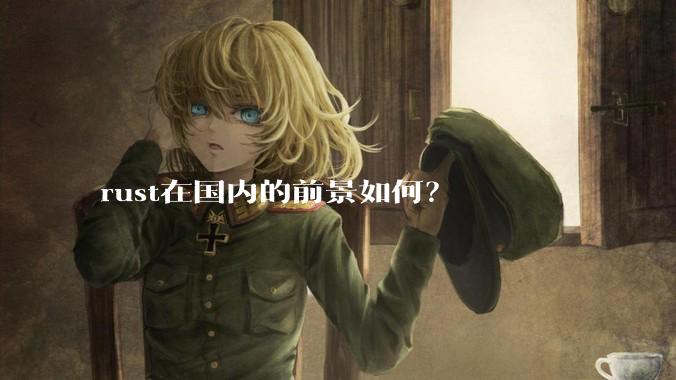 rust在国内的前景如何？