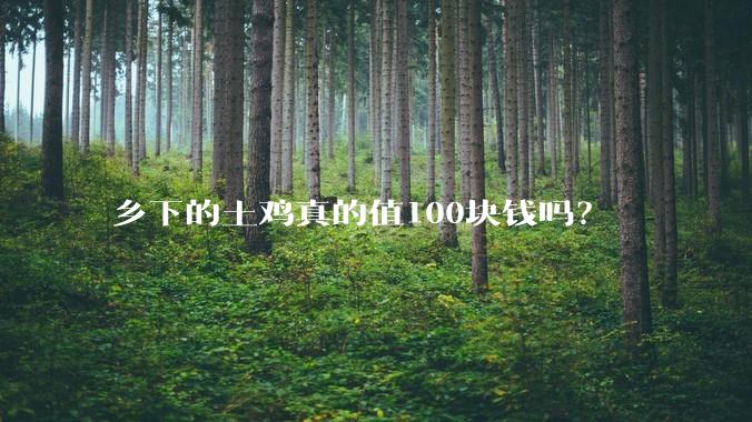 乡下的土鸡真的值100块钱吗？