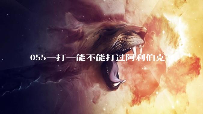 055一打一能不能打过阿利伯克？