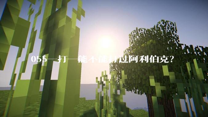 055一打一能不能打过阿利伯克？
