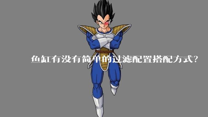 鱼缸有没有简单的过滤配置搭配方式？