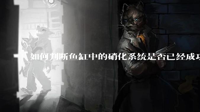 如何判断鱼缸中的硝化系统是否已经成功建立？