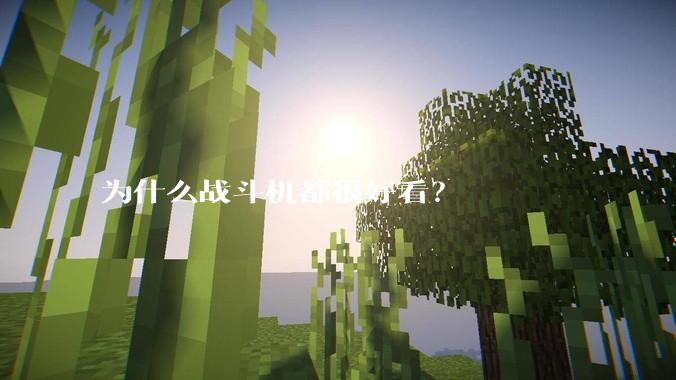 为什么战斗机都很好看？