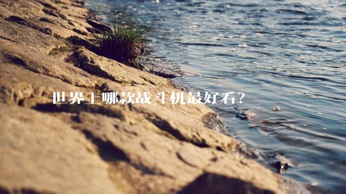 世界上哪款战斗机最好看？