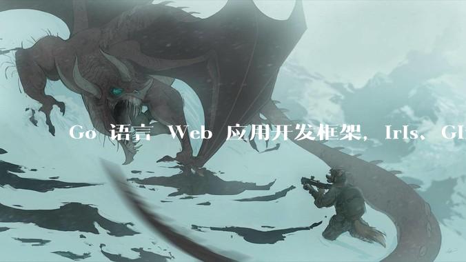 Go 语言 Web 应用开发框架，Iris、Gin、Echo，哪一个更适合大型项目？
