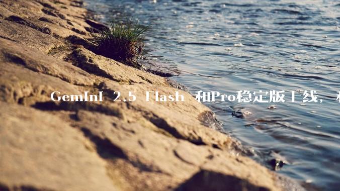 Gemini 2.5 Flash 和Pro稳定版上线，和之前版本相比，在性能和应用场景上有哪些提升？