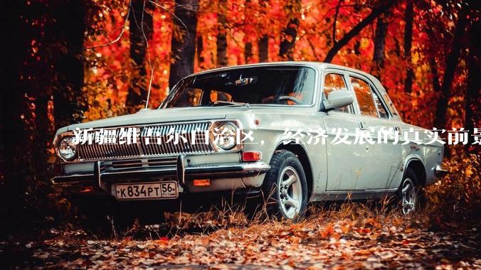 新疆维吾尔自治区，经济发展的真实前景如何？