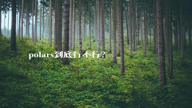 polars到底行不行？