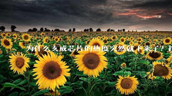 为什么玄戒芯片的热度突然就下来了？按理说这应该是轰动全国的大事啊？