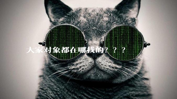 大家对象都在哪找的？？？