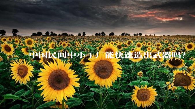 中国民间中小工厂能快速造出武器吗？