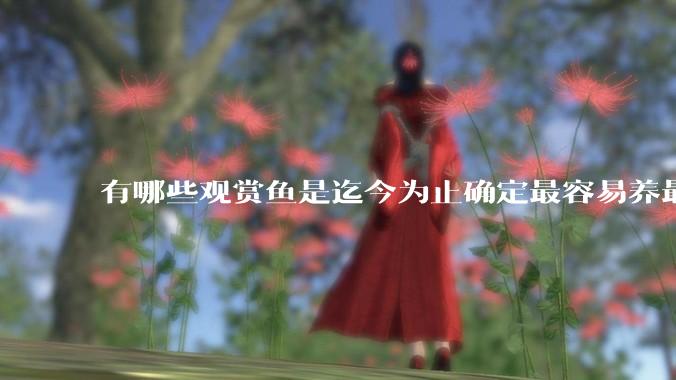 有哪些观赏鱼是迄今为止确定最容易养最不容易死的？