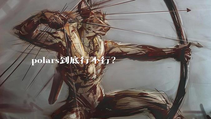 polars到底行不行？