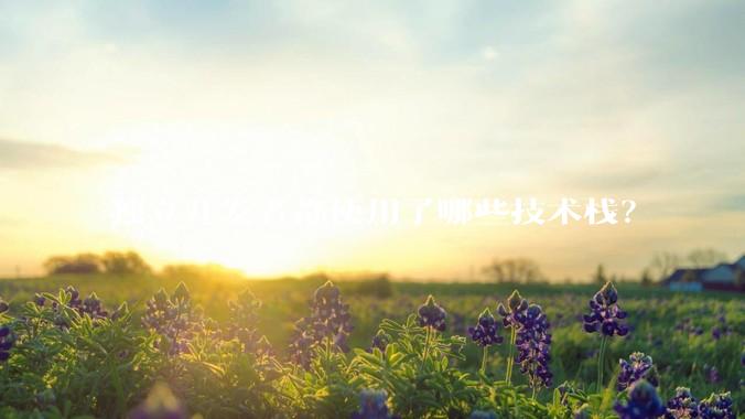 独立开发者都使用了哪些技术栈？