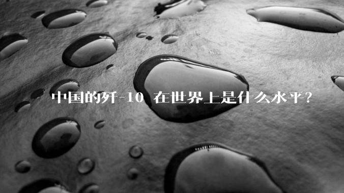 中国的歼-10 在世界上是什么水平？