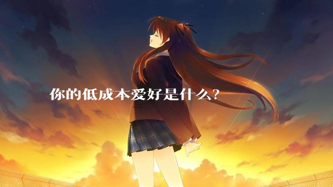 你的低成本爱好是什么？