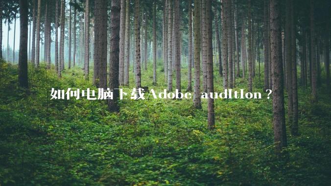 如何电脑下载Adobe audition?