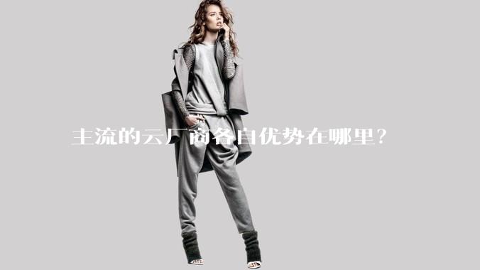 主流的云厂商各自优势在哪里？