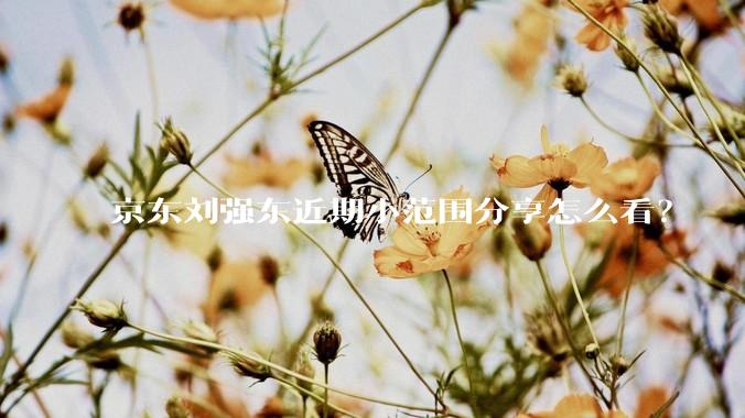 京东刘强东近期小范围分享怎么看？