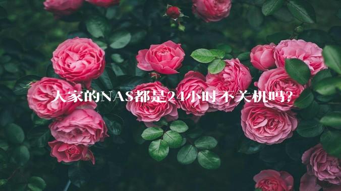 大家的NAS都是24小时不关机吗？
