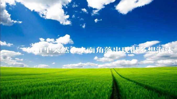 鱼缸里突然在水面角落出现很多想泡沫一样的气泡是怎么回事？