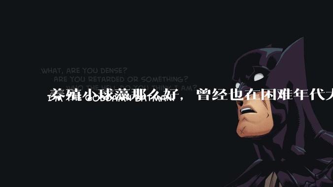 养殖小球藻那么好，曾经也在困难年代大力推广过，为什么没有继续下去？