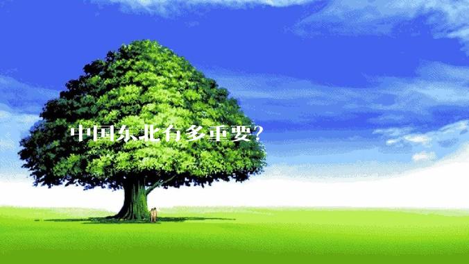 中国东北有多重要？