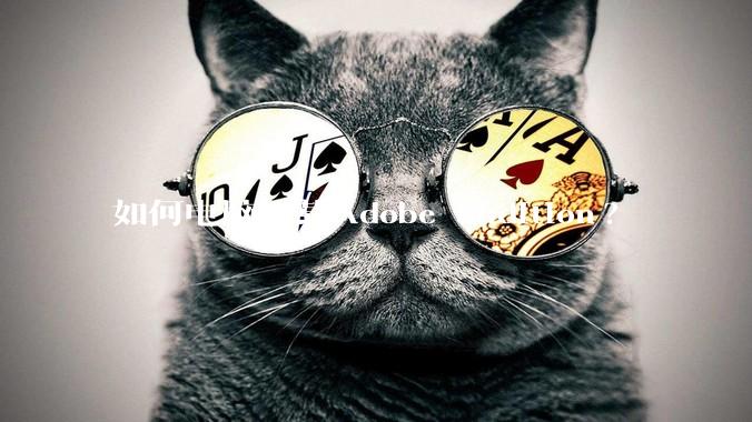 如何电脑下载Adobe audition?