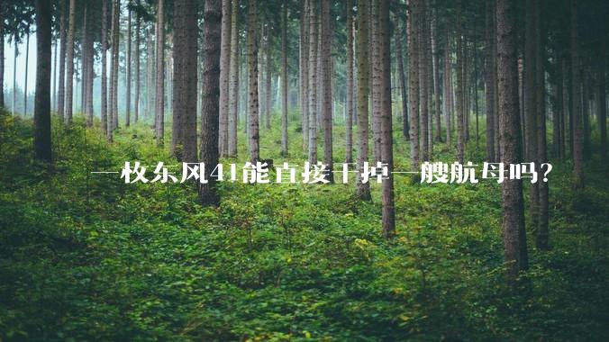 一枚东风41能直接干掉一艘航母吗？