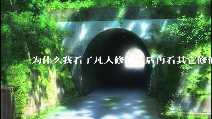 为什么我看了凡人修仙传后再看其它修仙***都感觉看不下去？