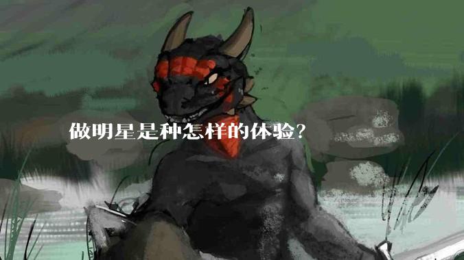 做明星是种怎样的体验？