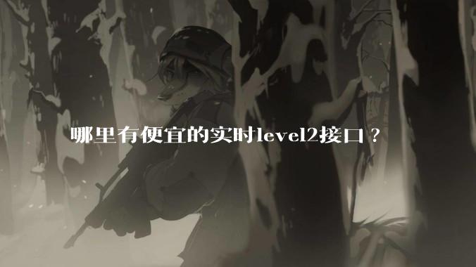 哪里有便宜的实时level2接口?