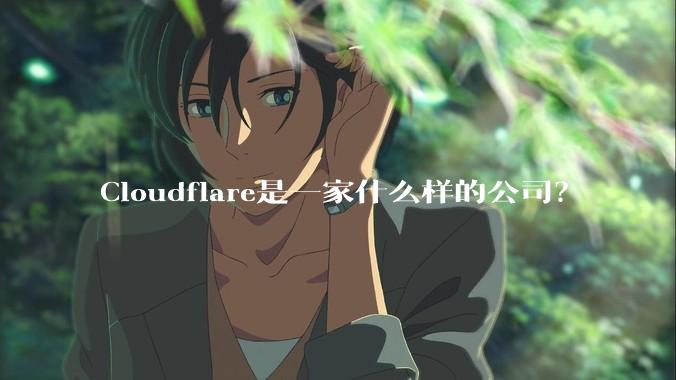 Cloudflare是一家什么样的公司？