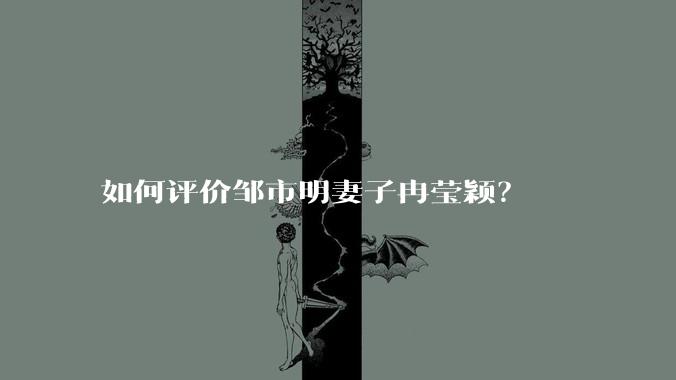 如何评价邹市明妻子冉莹颖？