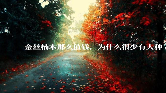 金丝楠木那么值钱，为什么很少有人种?