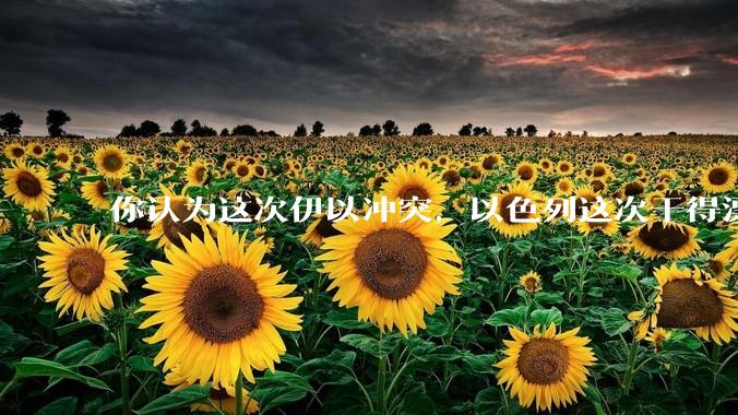 你认为这次伊以冲突，以色列这次干得漂亮吗?