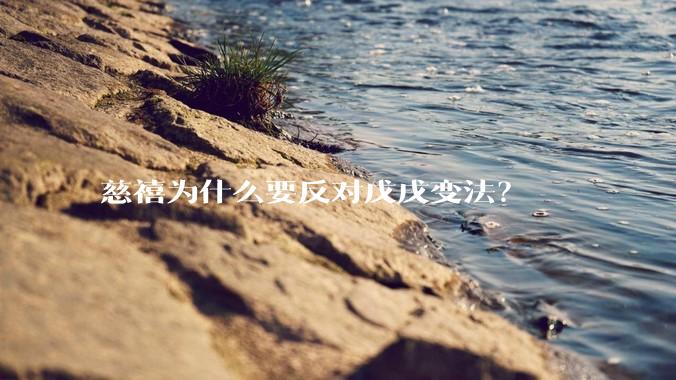慈禧为什么要反对戊戌变法？