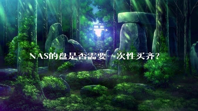 NAS的盘是否需要一次性买齐？