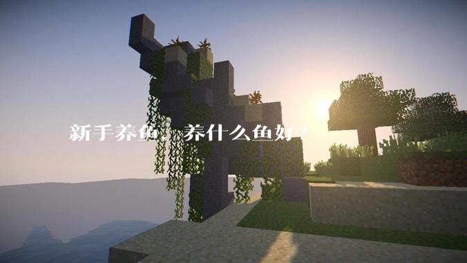 新手养鱼，养什么鱼好？