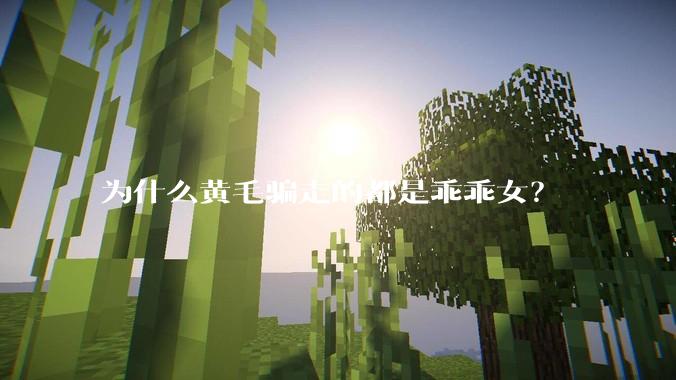 为什么黄毛骗走的都是乖乖女？