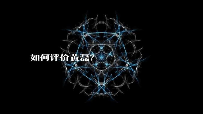 如何评价黄磊？