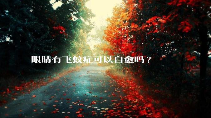 眼睛有飞蚊症可以自愈吗?