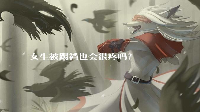 女生被踢裆也会很疼吗？